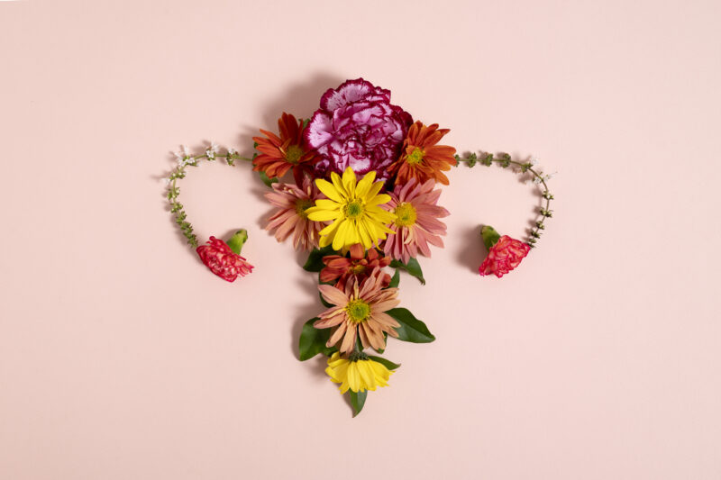 decorative image of a femal reproductive organ using flowers